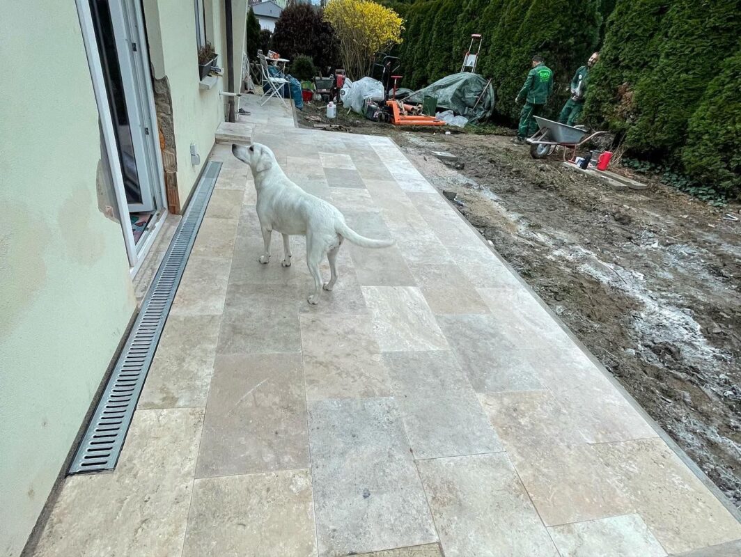 WhatsApp Image 2025-08-29 at 23.24.18 (3)