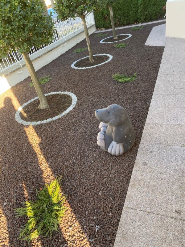 WhatsApp Image 2025-08-29 at 23.26.52 (1)