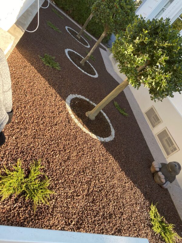 WhatsApp Image 2025-08-29 at 23.26.52 (2)