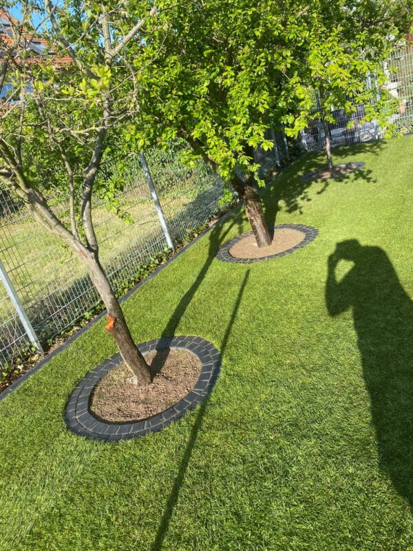 WhatsApp Image 2025-08-29 at 23.26.52 (3)