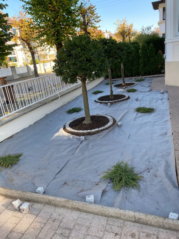 WhatsApp Image 2025-08-29 at 23.26.52