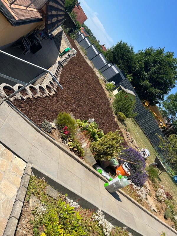 WhatsApp Image 2025-08-29 at 23.26.54 (1)