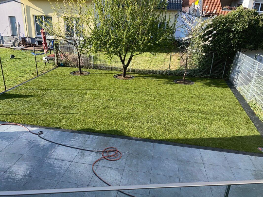 WhatsApp Image 2025-08-29 at 23.32.50