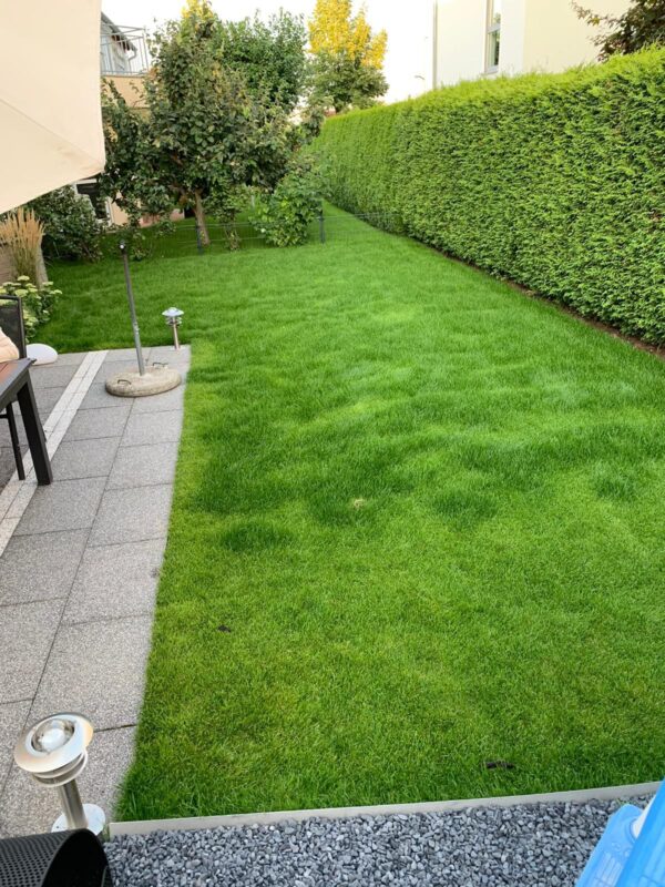 WhatsApp Image 2025-08-29 at 23.32.51 (2)