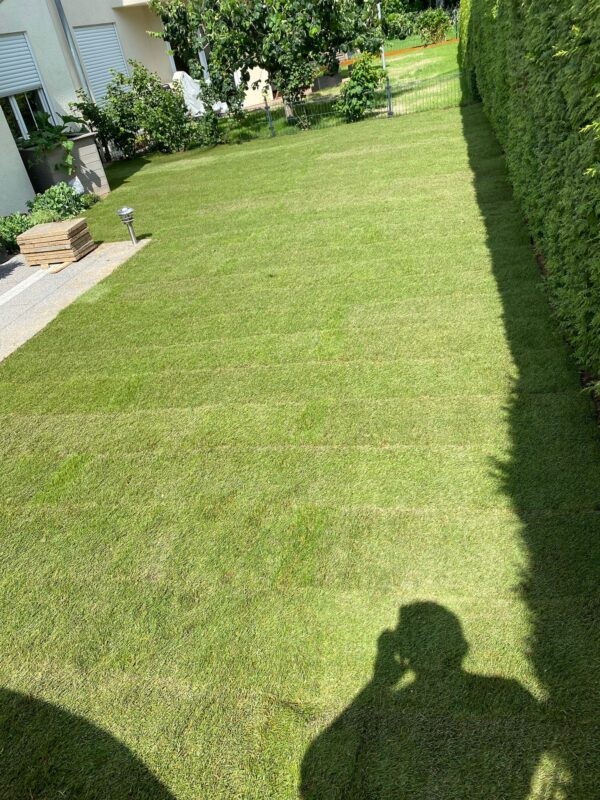 WhatsApp Image 2025-08-29 at 23.32.51