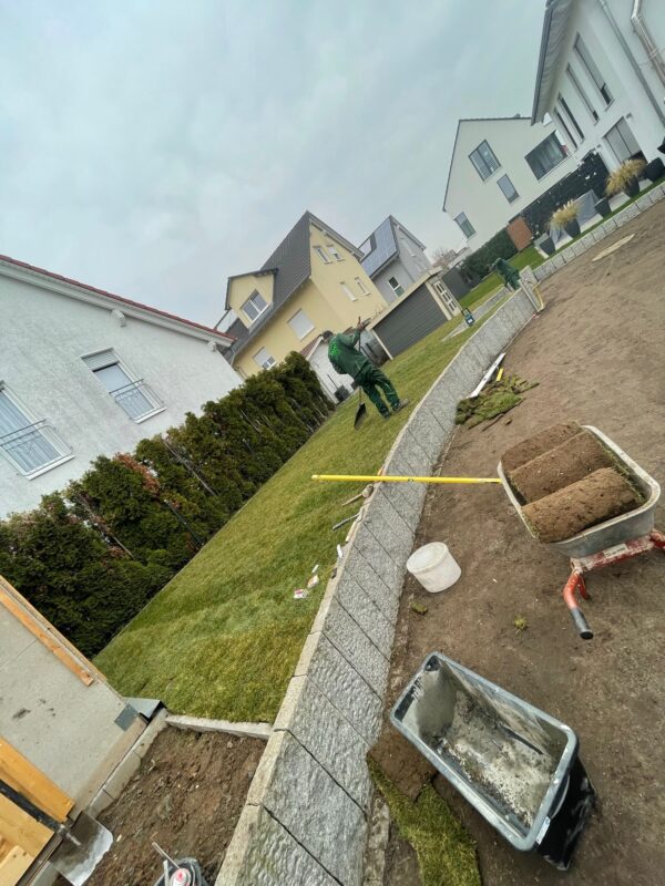 WhatsApp Image 2025-08-29 at 23.32.52