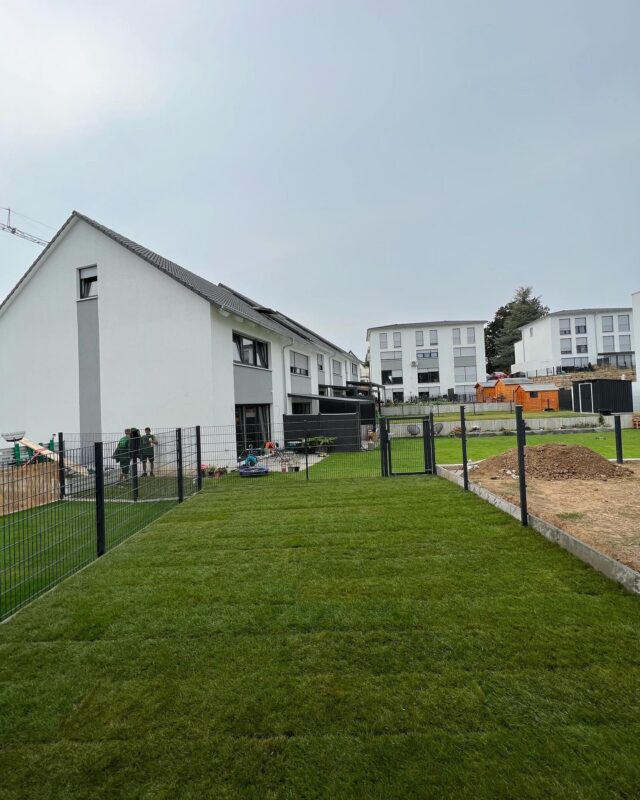 WhatsApp Image 2025-08-29 at 23.32.53