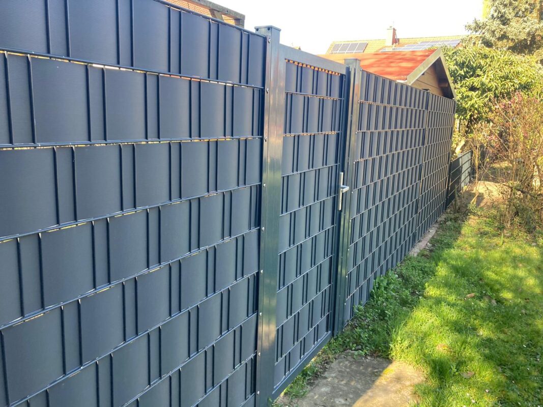 WhatsApp Image 2025-08-29 at 23.36.58